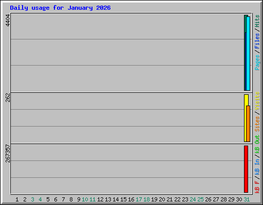 Daily usage for January 2026
