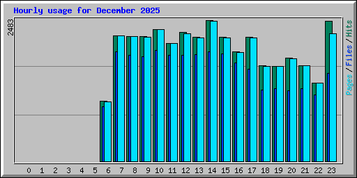 Hourly usage for December 2025