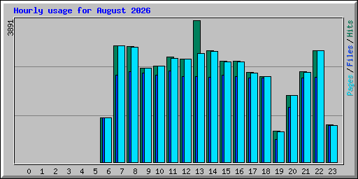 Hourly usage for August 2026