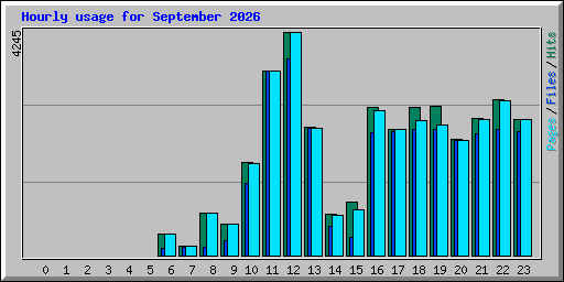Hourly usage for September 2026
